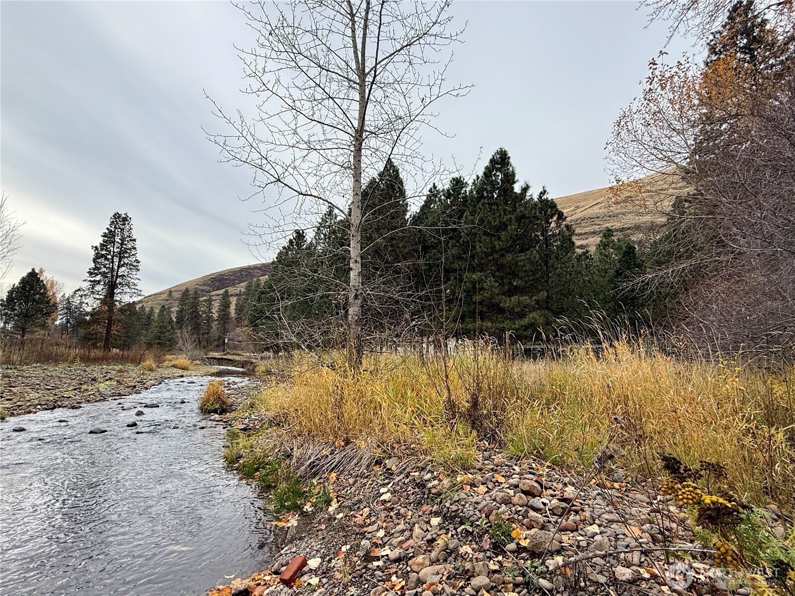 435 South Touchet Road Dayton, WA 99328 - Photo 31 of 32 Gallery Image 31