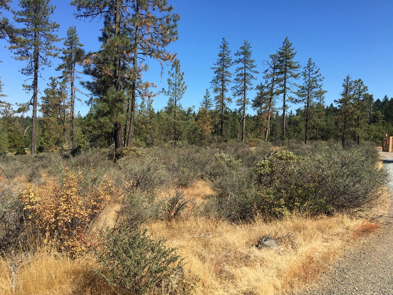 4481 Waldo Road Cave Junction, OR 97523 - Photo 8 of 13 Additional Photo