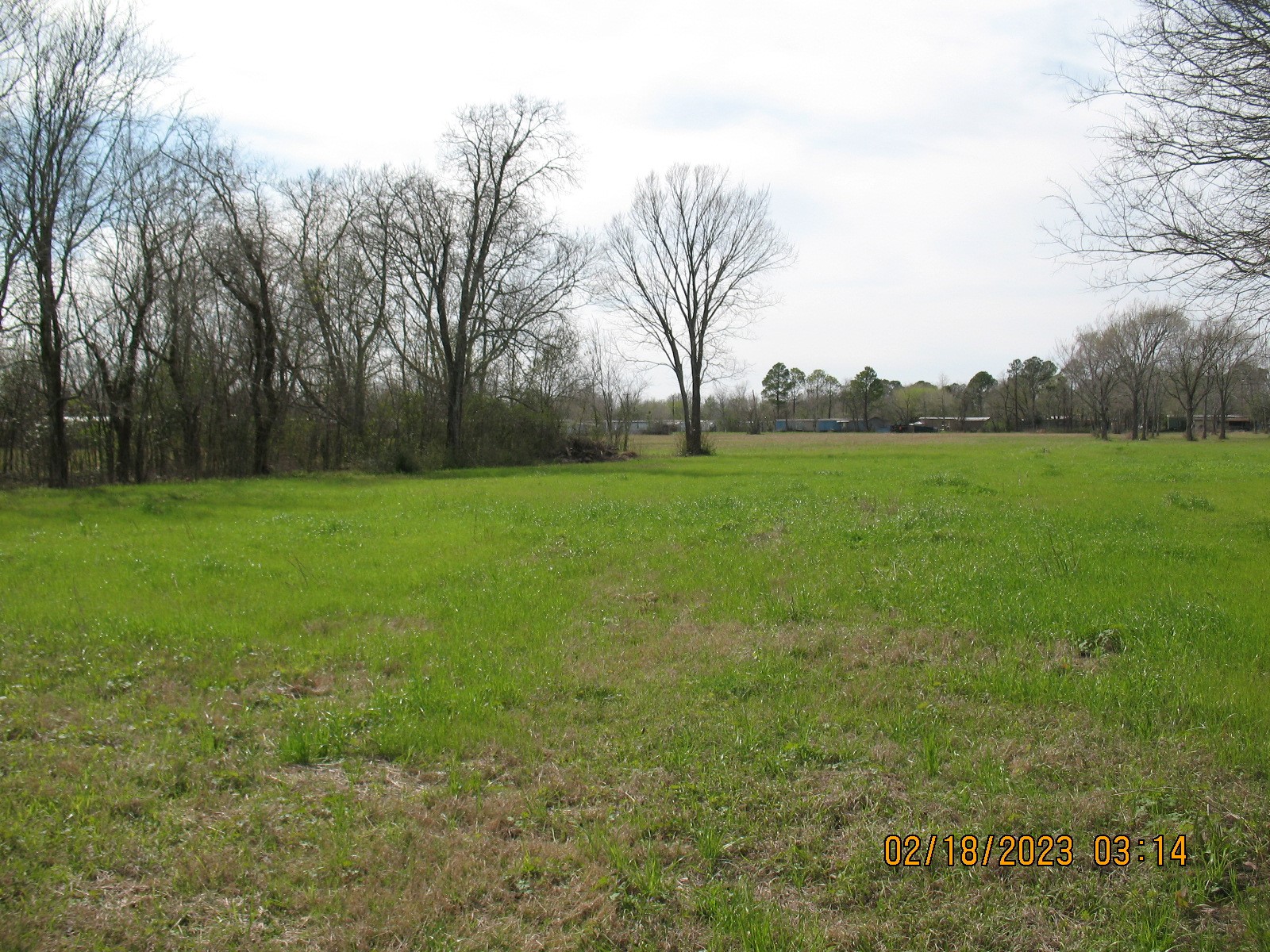 a view of a field of grass and trees