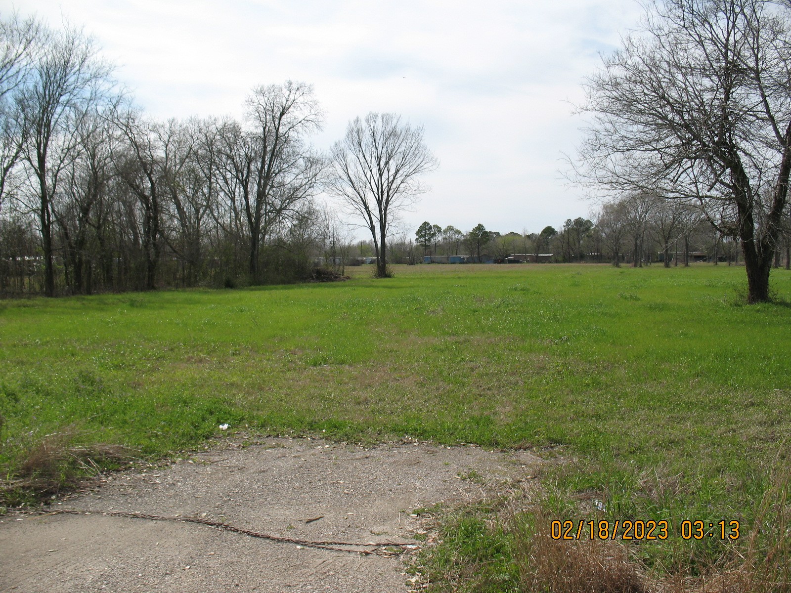 0 Hatfield Road Pearland, TX 77581 - Photo 2 of 8 a view of a field with trees