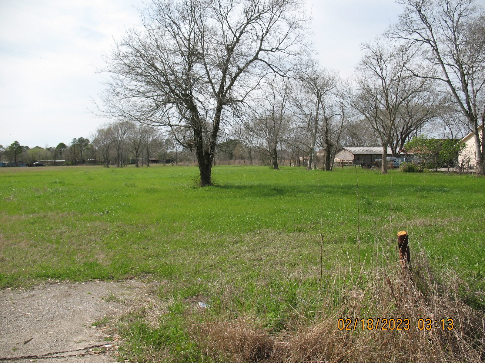 0 Hatfield Road Pearland, TX 77581 - Photo 3 of 8 a view of grassy field with trees