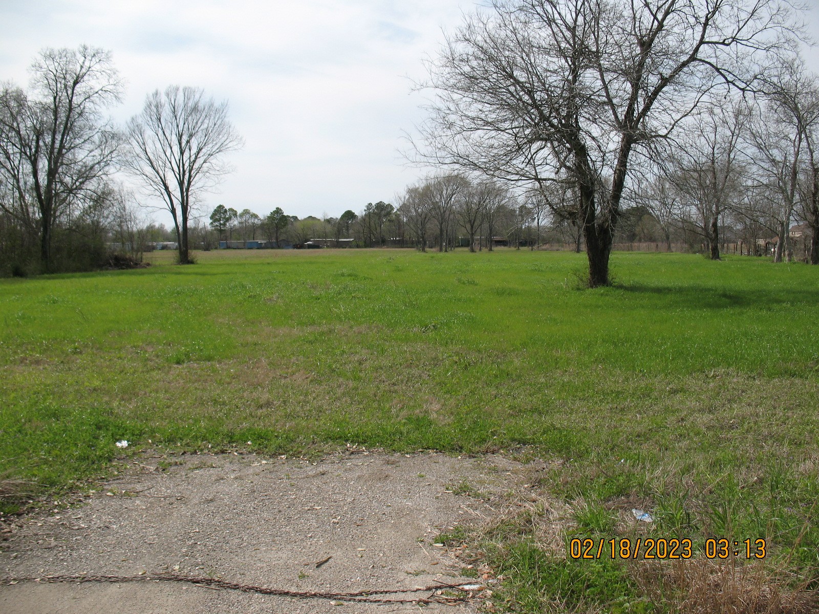 0 Hatfield Road Pearland, TX 77581 - Photo 4 of 8 a view of grassy field with trees