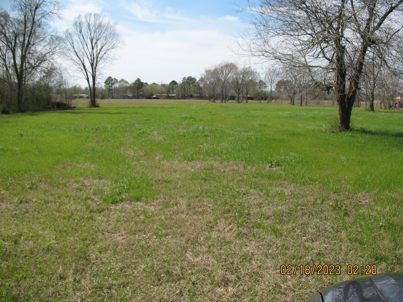 0 Hatfield Road Pearland, TX 77581 - Photo 7 of 8 a view of grassy field with trees