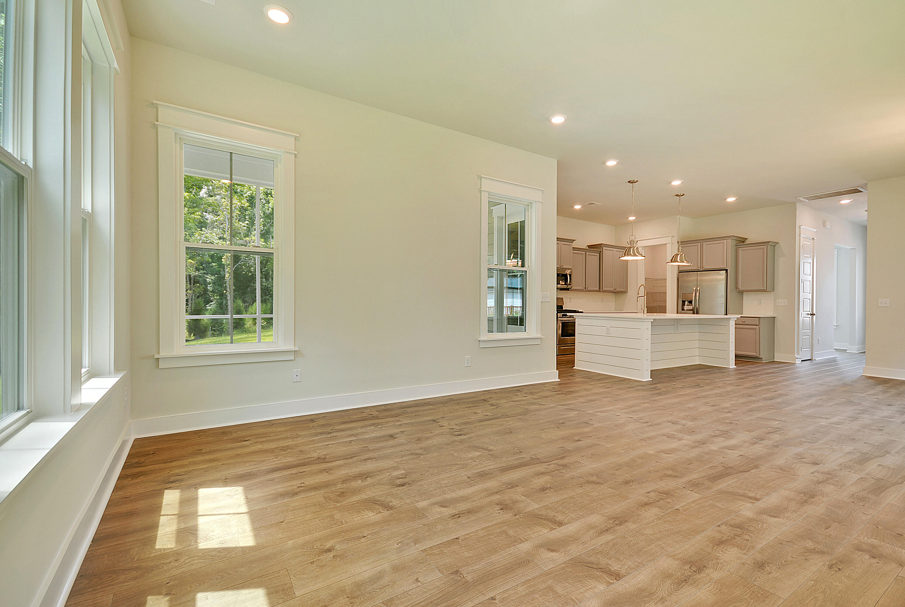 138 Maritime Way Ridgeville, SC 29472 - Photo 4 of 17 Pinckney LR 2