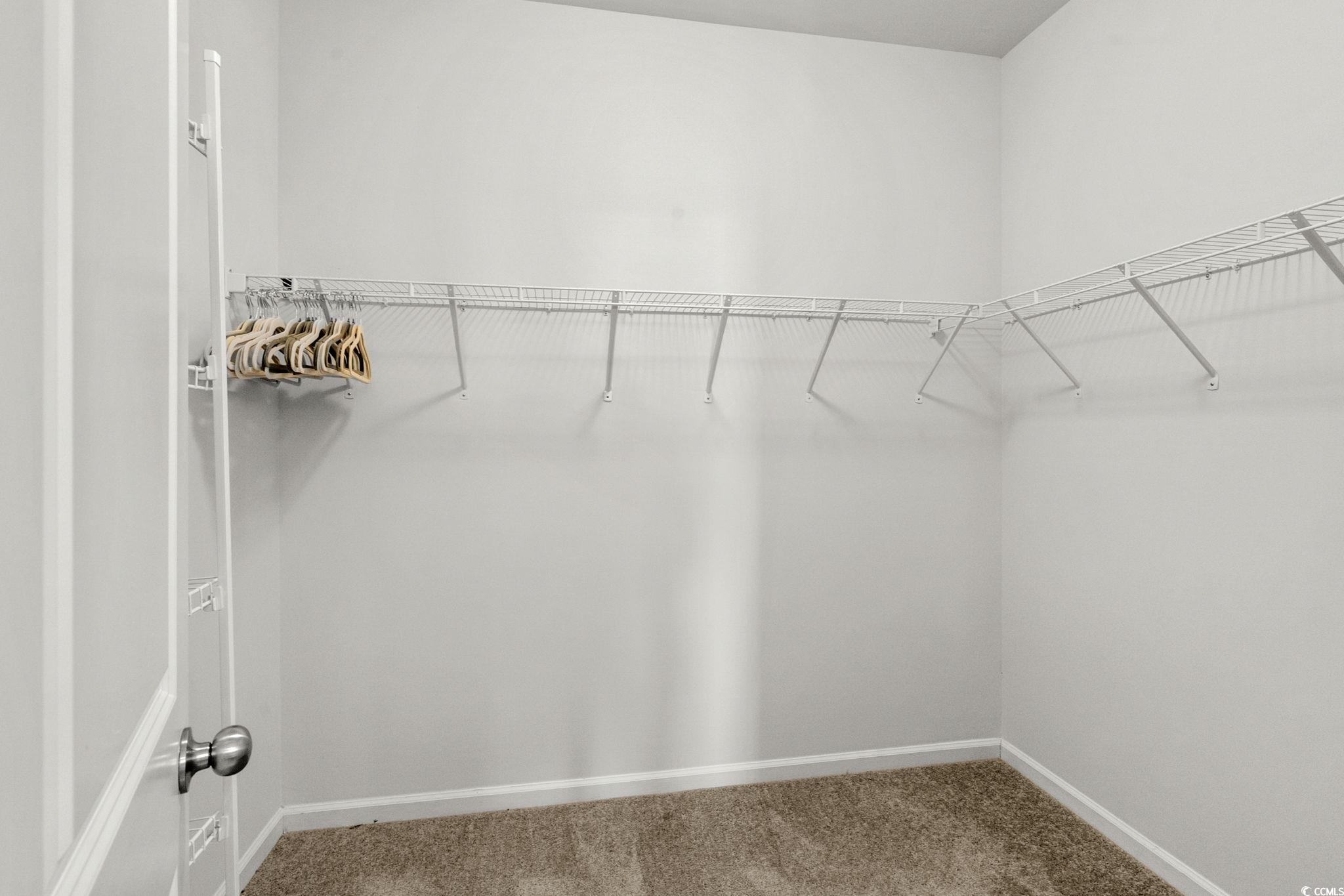 1663 Villena Drive Myrtle Beach, SC 29579 - Photo 20 of 40 Walk in closet with carpet