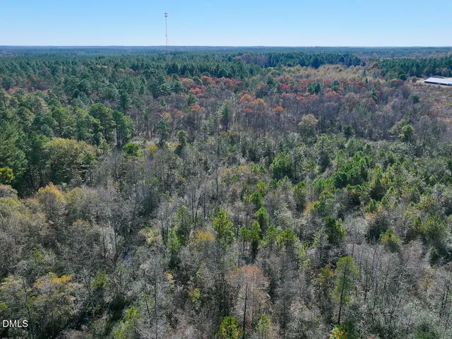 a view of a yard with plants and trees