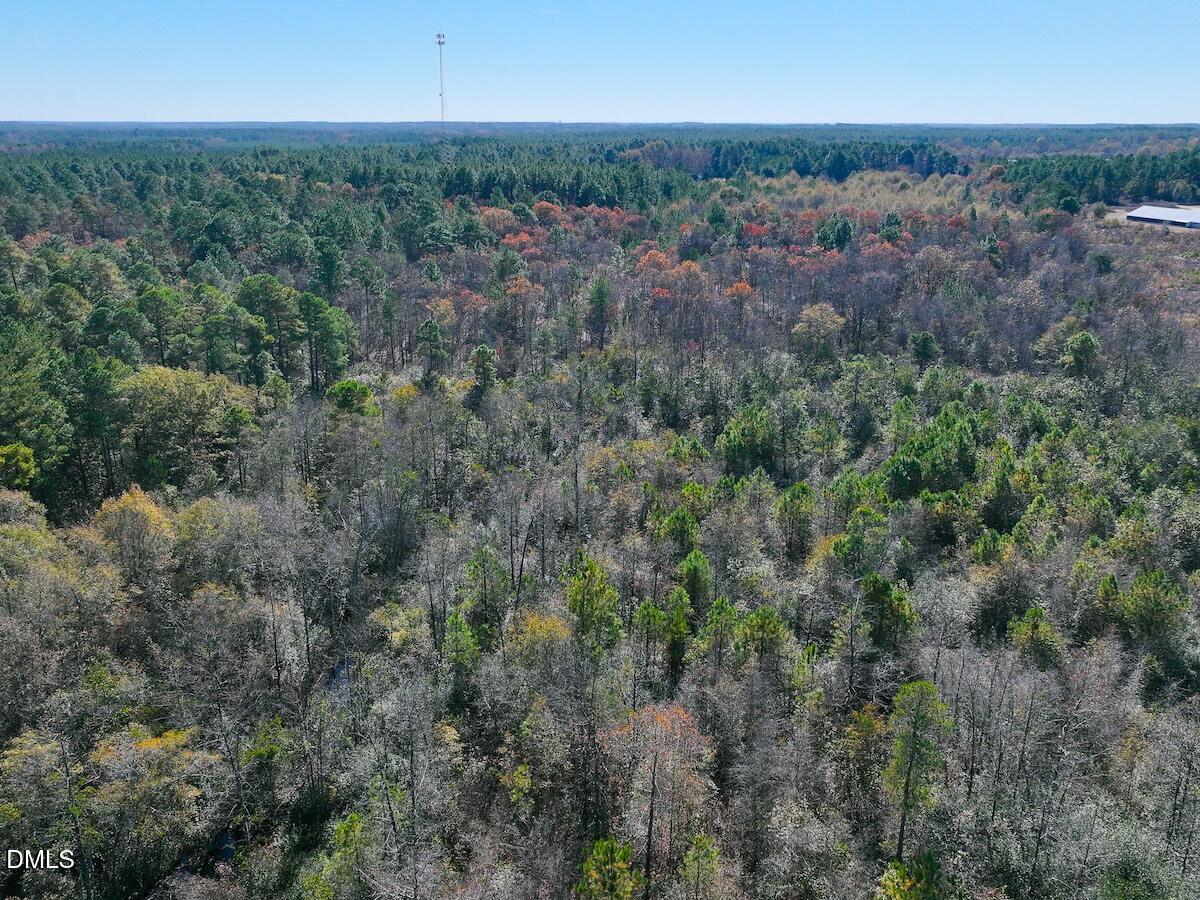 0 Jesse Smith Road Laurel Hill, NC 28351 - Photo 17 of 54 an aerial view of residential houses with outdoor space and trees