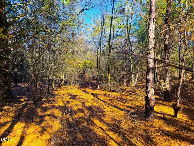 an aerial view of residential house with outdoor space and trees all around