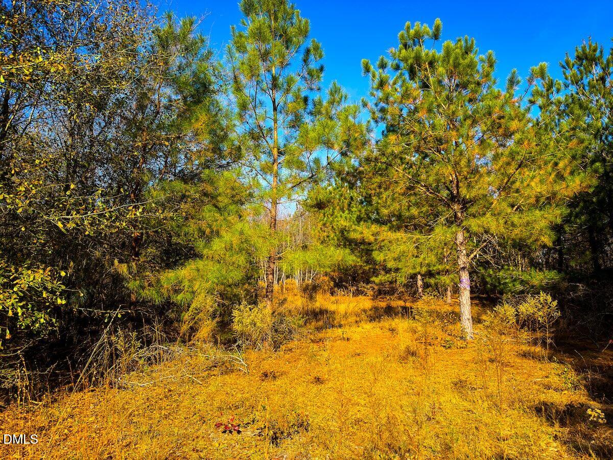 0 Jesse Smith Road Laurel Hill, NC 28351 - Photo 19 of 54 21 Scotland Croy