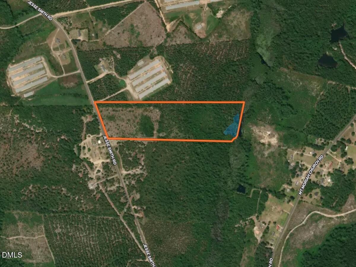 0 Jesse Smith Road Laurel Hill, NC 28351 - Photo 2 of 54 a view of yard