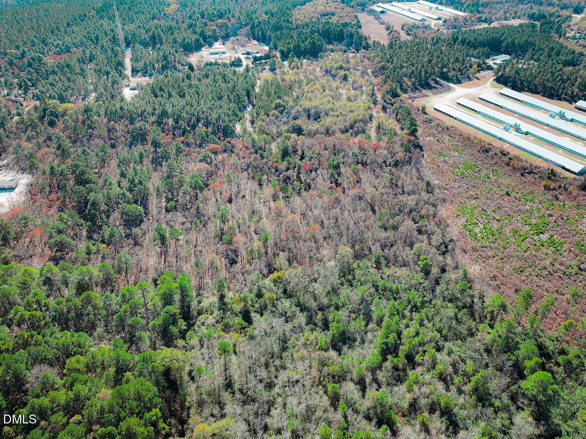 0 Jesse Smith Road Laurel Hill, NC 28351 - Photo 21 of 54 an aerial view of residential house with outdoor space and trees all around