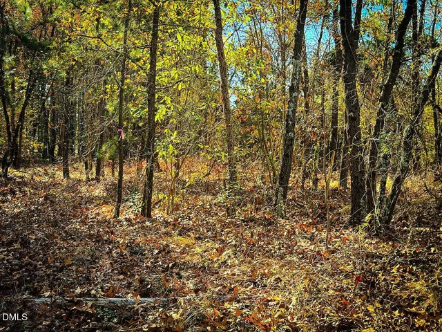 a backyard of a house