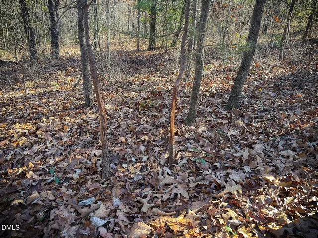 a view of a chandelier in a backyard