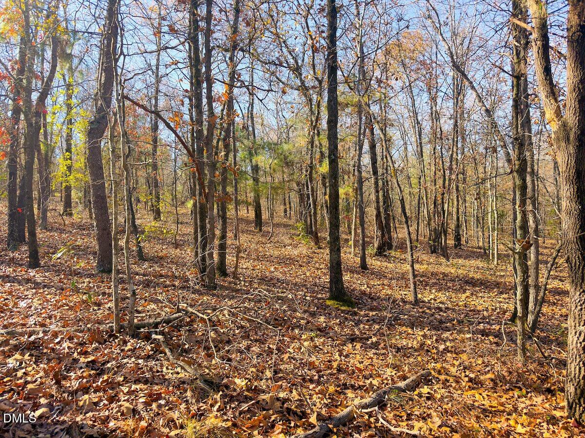 0 Jesse Smith Road Laurel Hill, NC 28351 - Photo 24 of 54 a backyard of a house with lots of green space