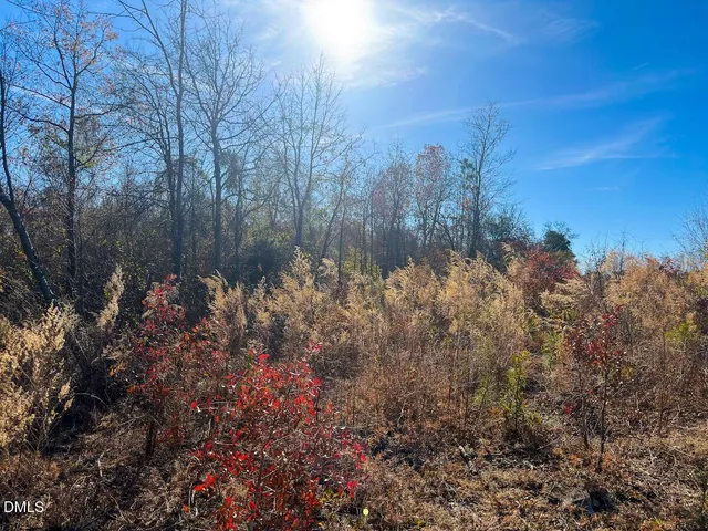 a view of a house with a tree