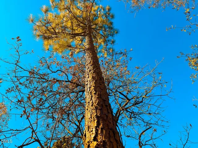 a view of street along with trees