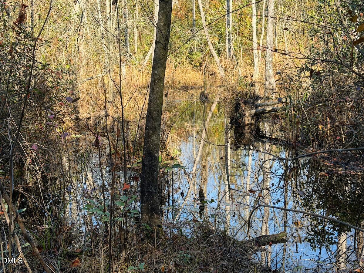 0 Jesse Smith Road Laurel Hill, NC 28351 - Photo 36 of 54 40 Scotland Croy