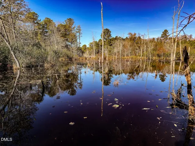 a view of a yard with trees