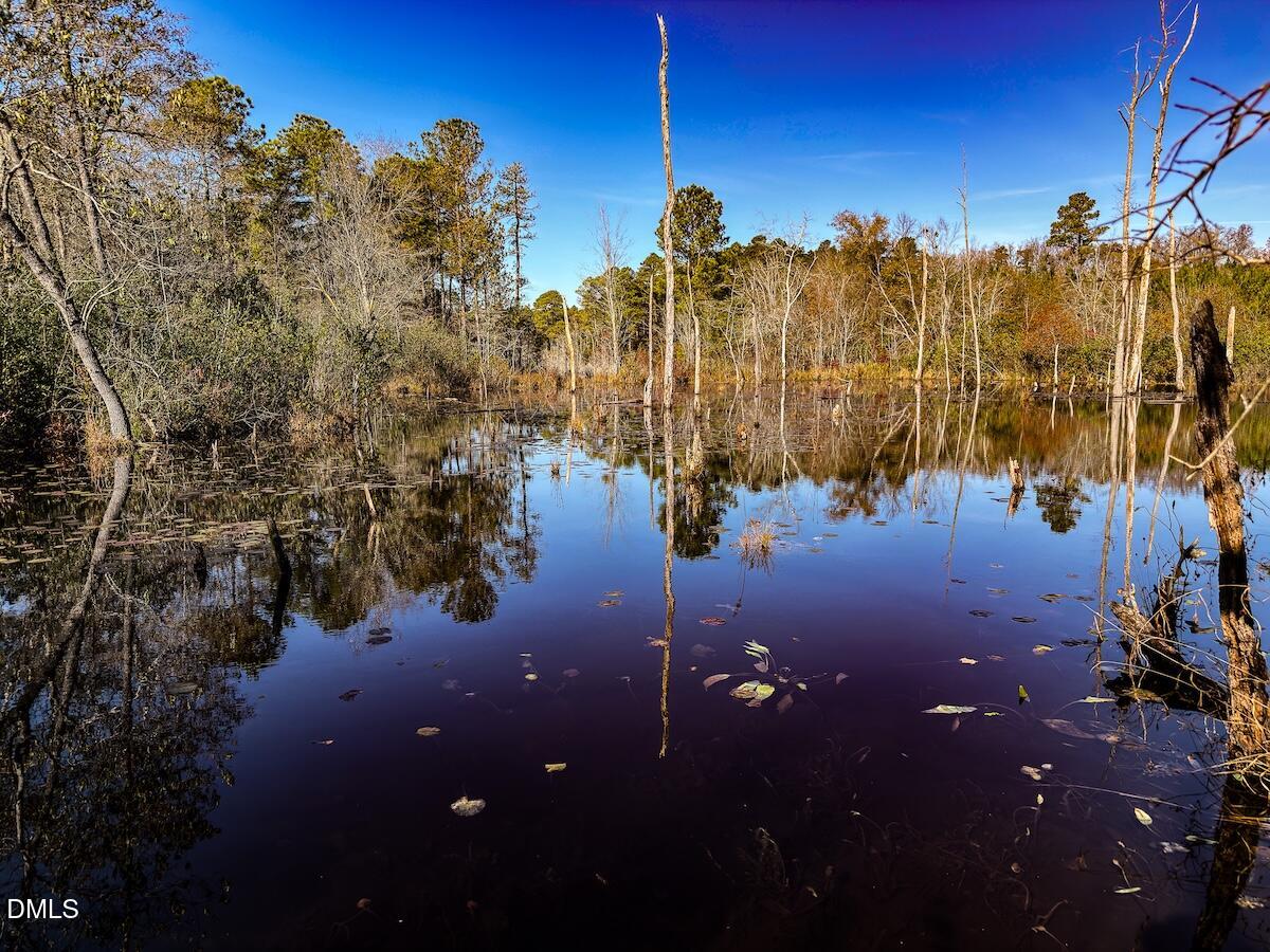 0 Jesse Smith Road Laurel Hill, NC 28351 - Photo 37 of 54 41 Scotland Croy