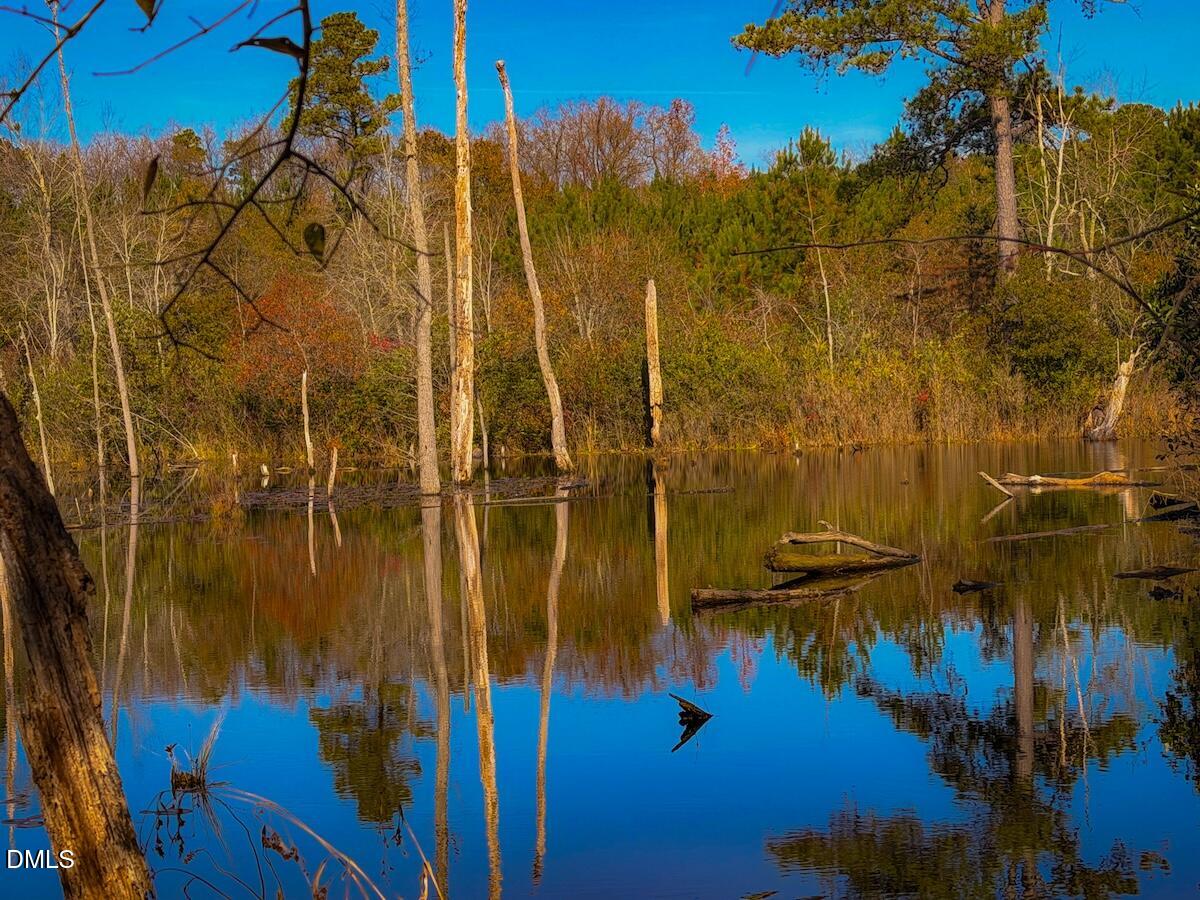 0 Jesse Smith Road Laurel Hill, NC 28351 - Photo 38 of 54 a view of a lake