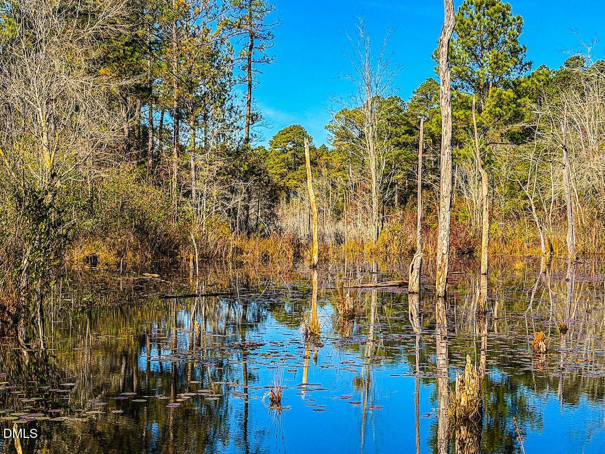 0 Jesse Smith Road Laurel Hill, NC 28351 - Photo 39 of 54 43 Scotland Croy