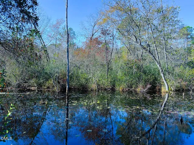 a bathroom with a shower and toilet