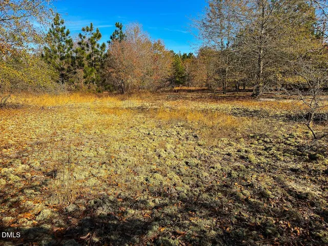 a view of a tennis court