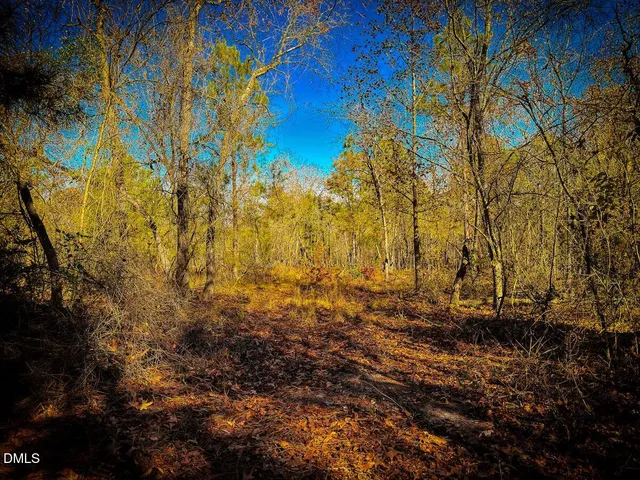 $99,900 | 0 Jesse Smith Road, Laurel Hill, NC 28351