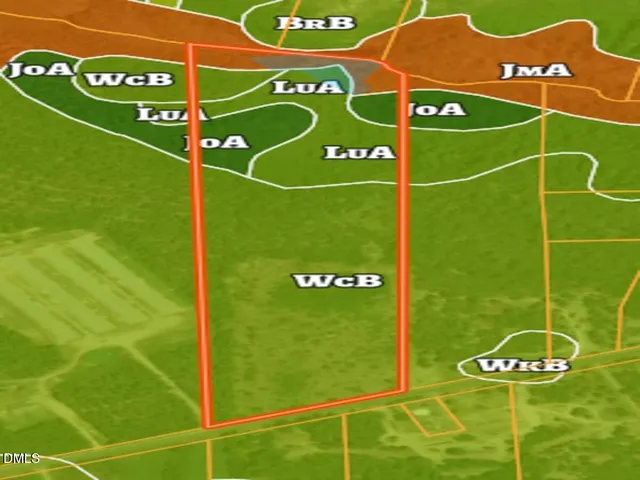 $99,900 | 0 Jesse Smith Road, Laurel Hill, NC 28351