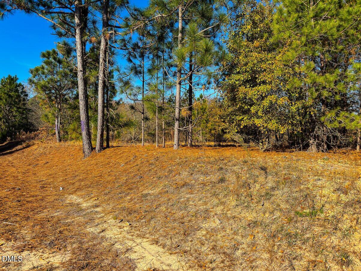 0 Jesse Smith Road Laurel Hill, NC 28351 - Photo 8 of 54