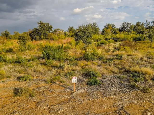 a view of a bunch of trees and covered in background