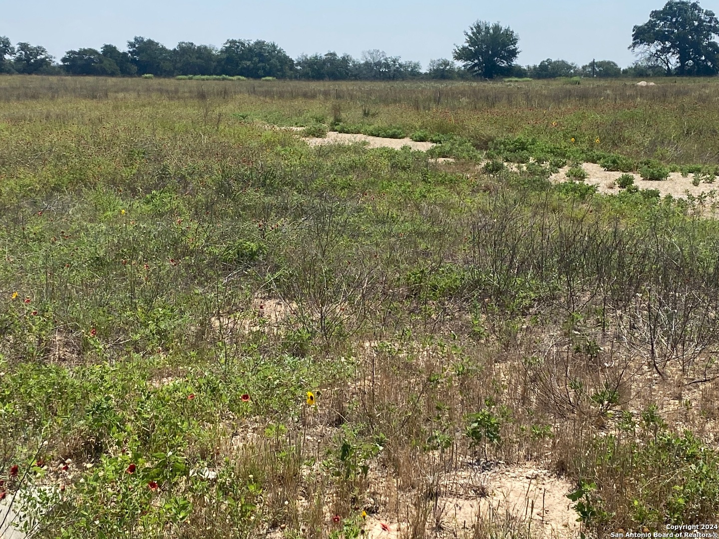 918 Fallbrook Lane La Vernia, TX 78121 - Photo 2 of 5