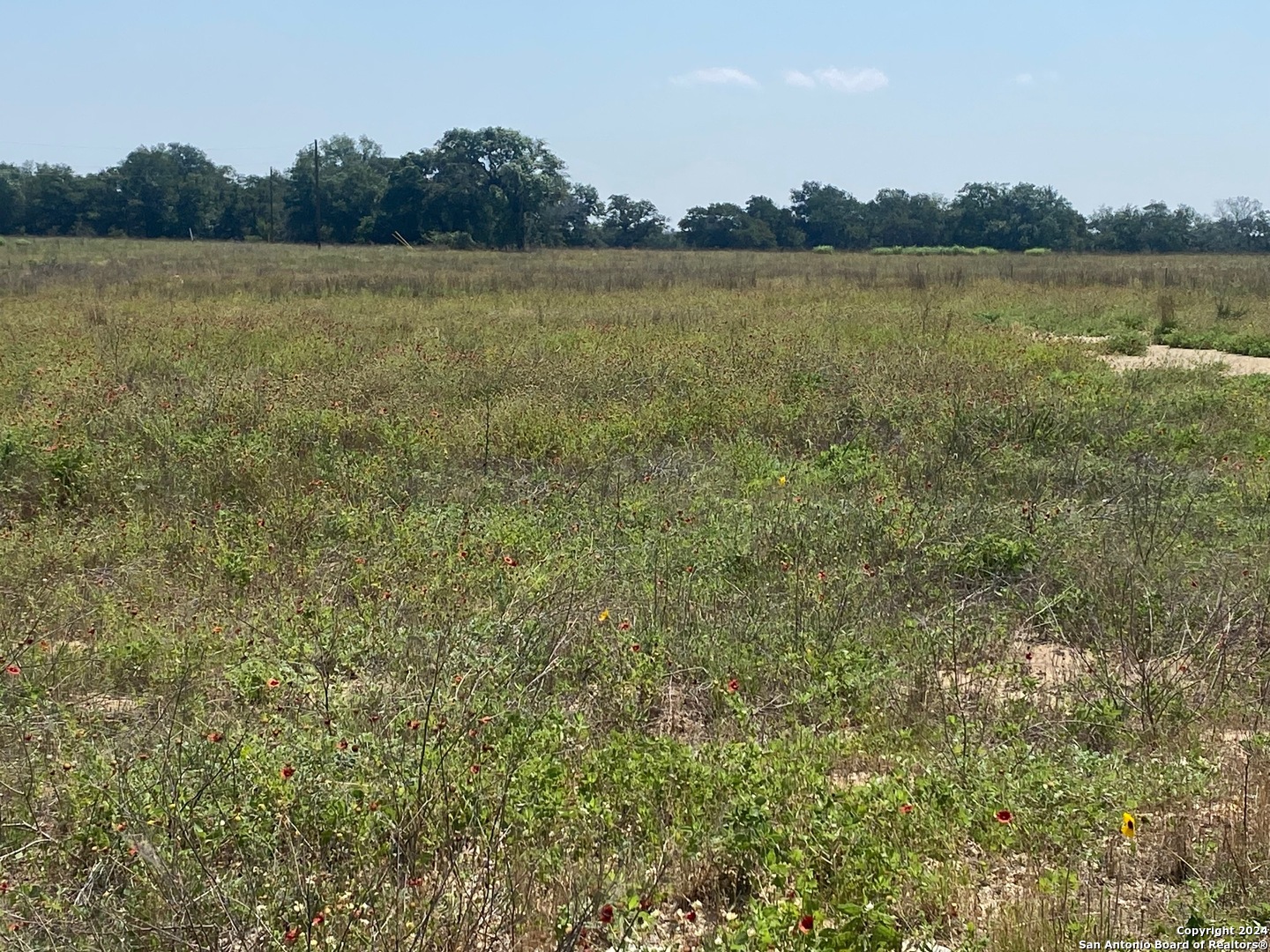 918 Fallbrook Lane La Vernia, TX 78121 - Photo 3 of 5