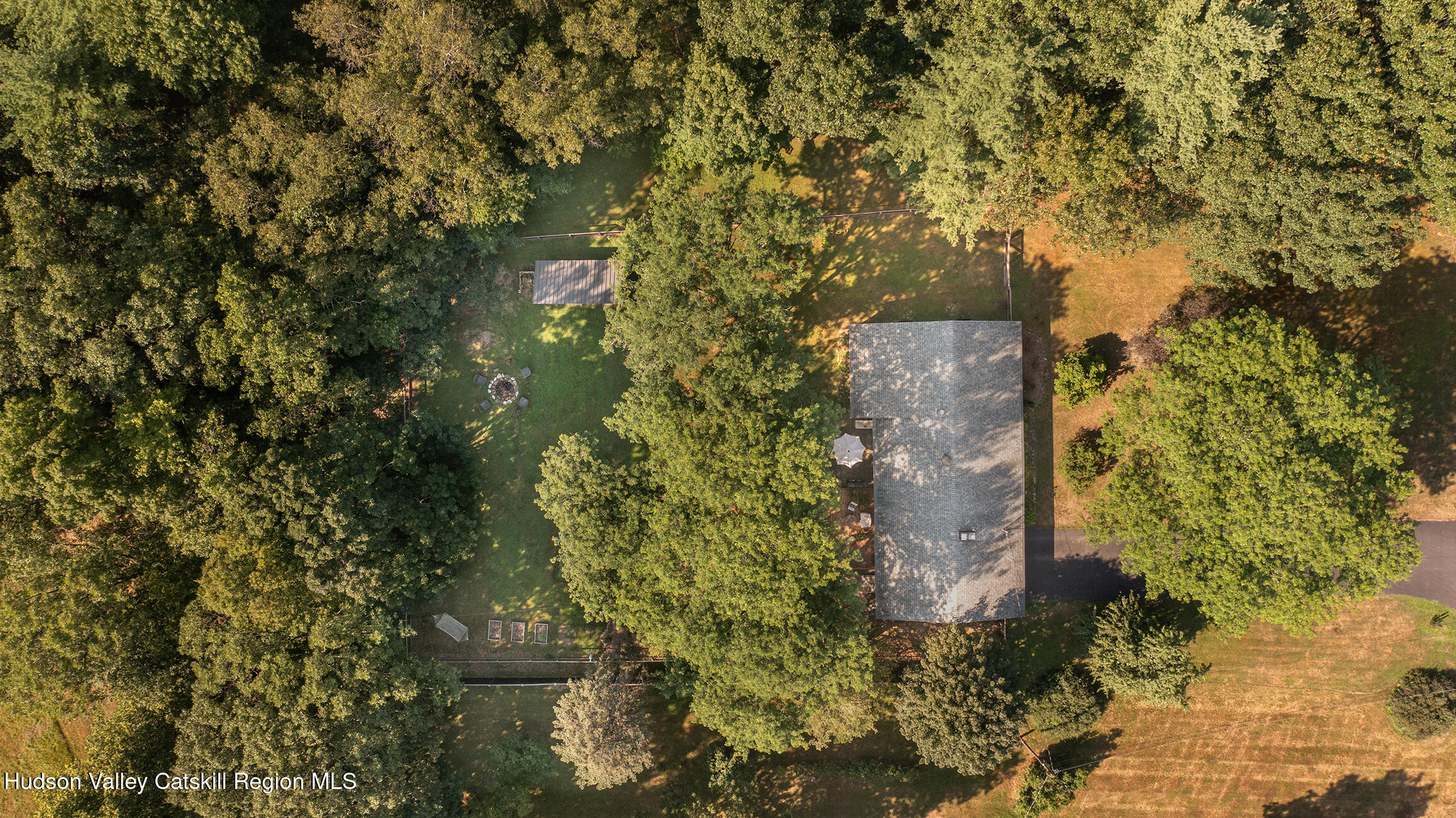 1002 Cairo Junction Road Catskill, NY 12414 - Photo 19 of 20 a picture of a tree