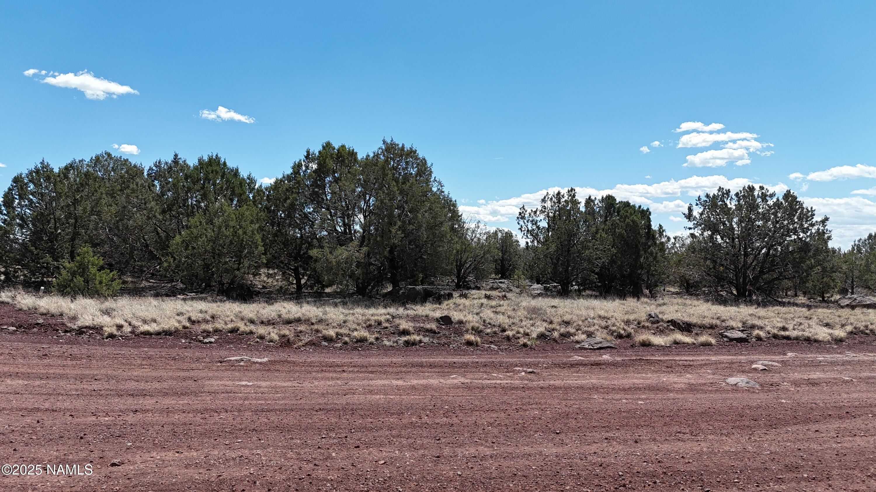 3288-3236 Cumberland Road Ash Fork, AZ 86320 - Photo 12 of 18 a view of a yard with a tree