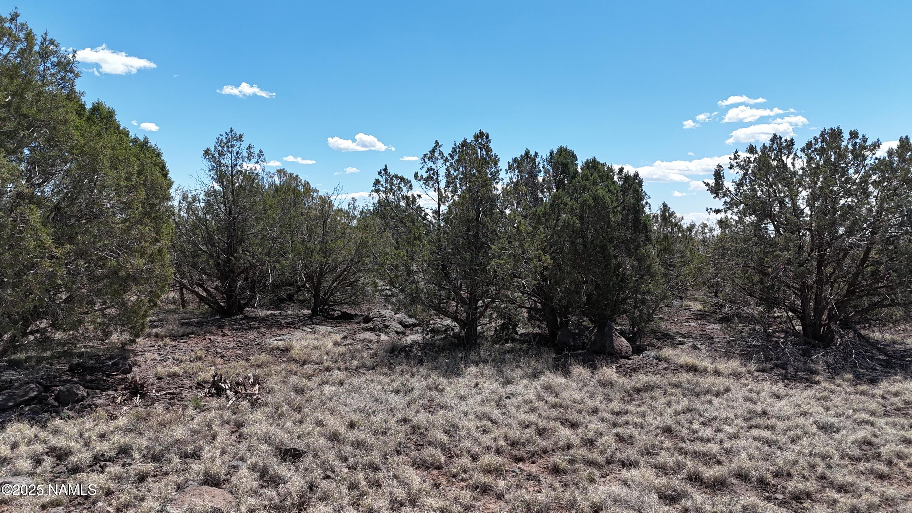 3288-3236 Cumberland Road Ash Fork, AZ 86320 - Photo 14 of 18 a view of a forest