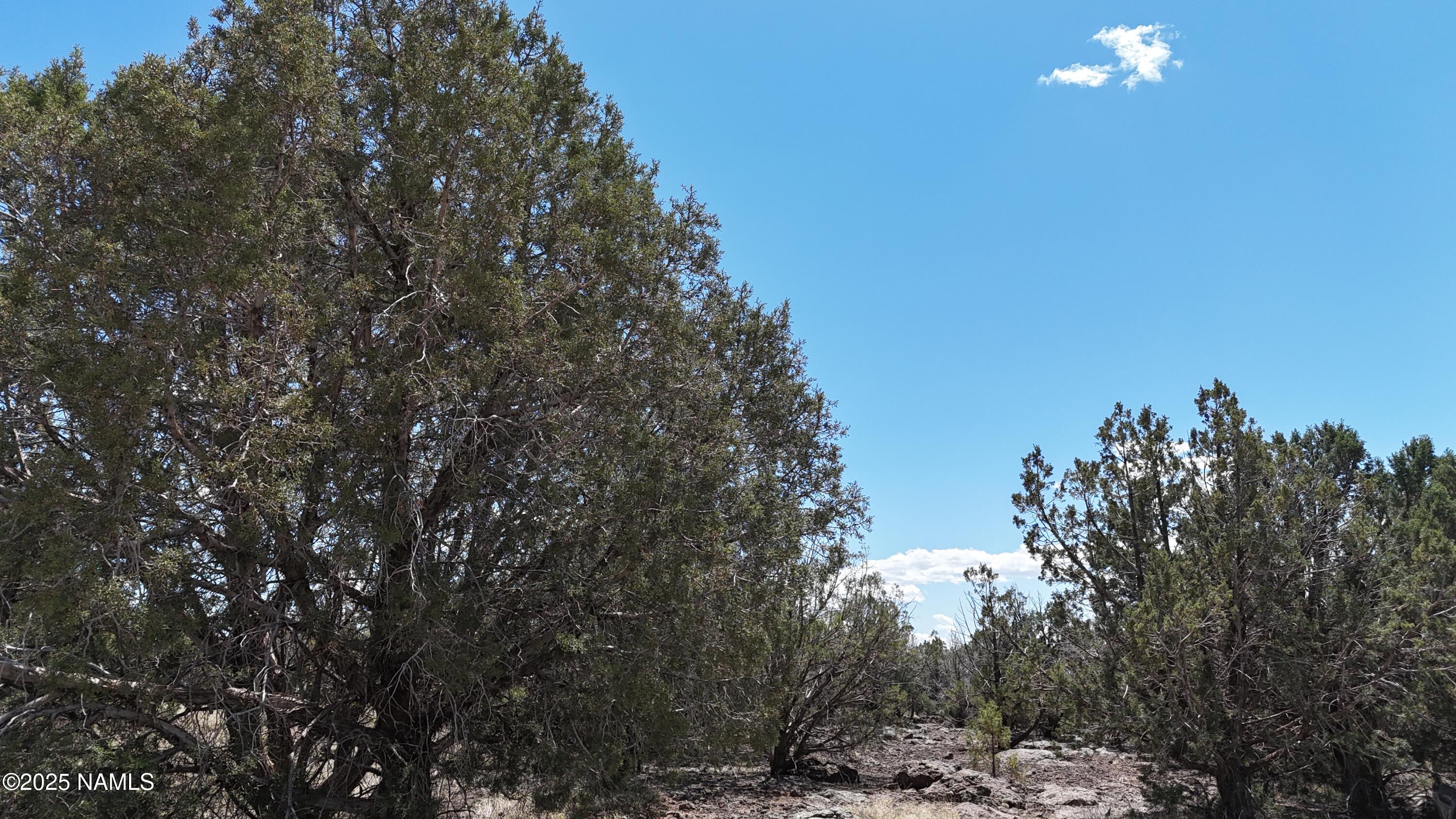 3288-3236 Cumberland Road Ash Fork, AZ 86320 - Photo 5 of 18 a view of a city