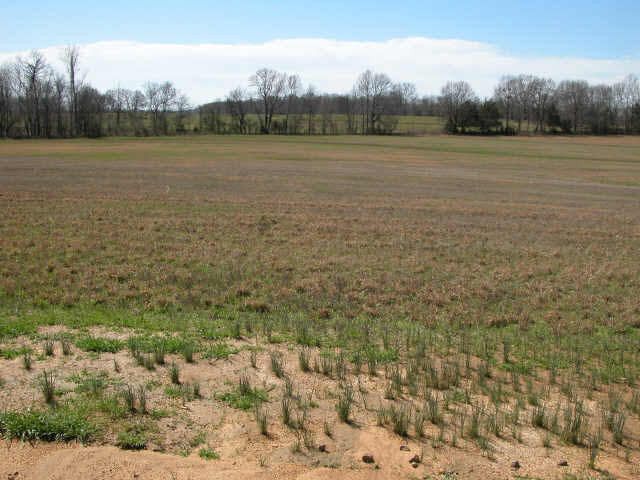 0 Scotland Road, Unit LOT 6 Benton, MS 39039 - Photo 1 of 1 Photo 1