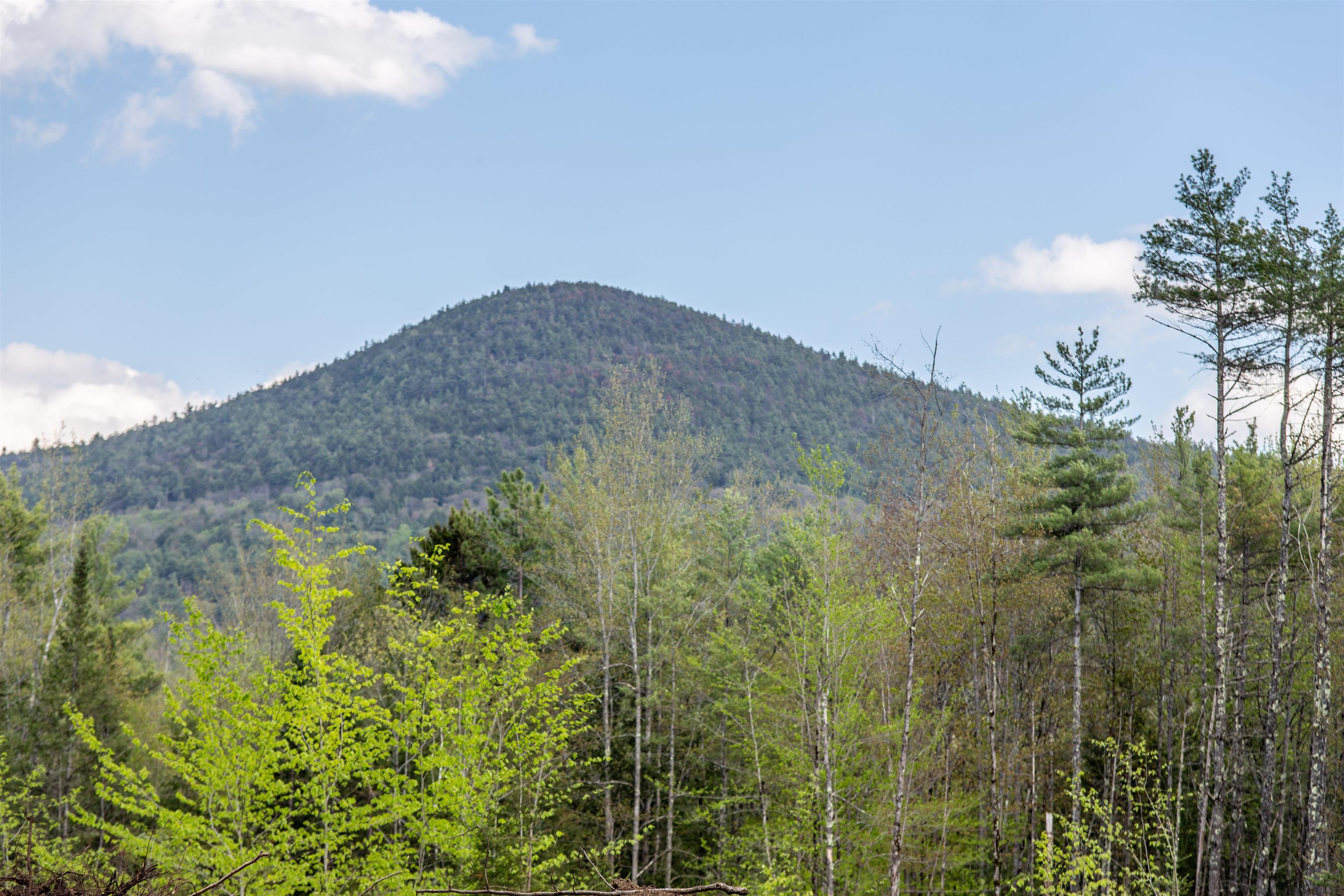 0 Elijah Beede Road Sandwich, NH 03227 - Photo 8 of 28