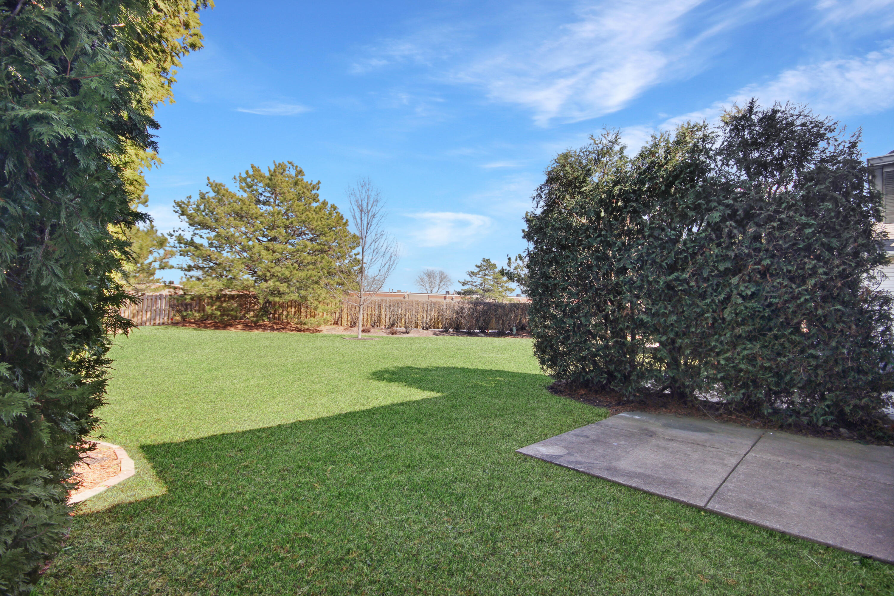 8109 Victoria Place Crown Point, IN 46307 - Photo 24 of 26 a yard with lots of green space and trees