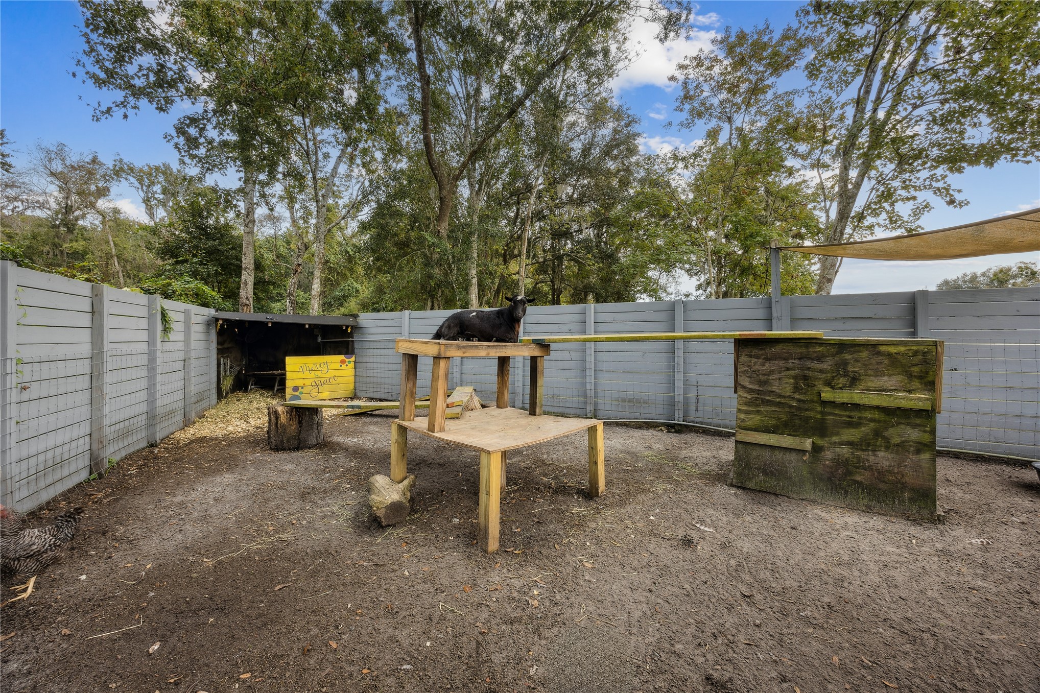 95103 Greenberry Road Fernandina Beach, FL 32034 - Photo 59 of 69 a view of a backyard with chairs and a large tree