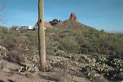 4204 West Drexel Road Tucson, AZ 85746 - Photo 9 of 10 Gallery Image 9