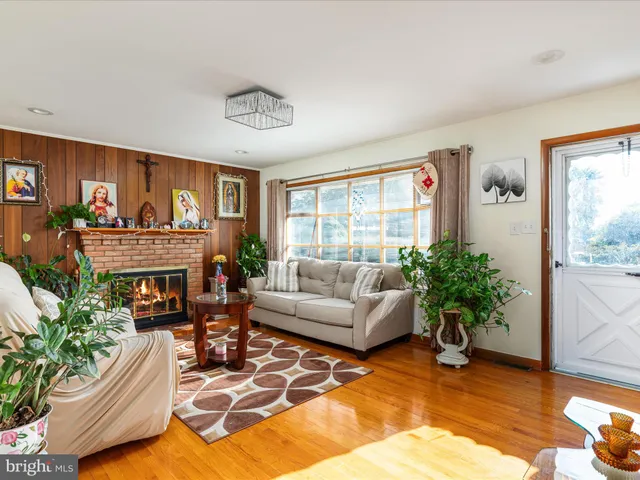 a living room with furniture a fireplace and a potted plant