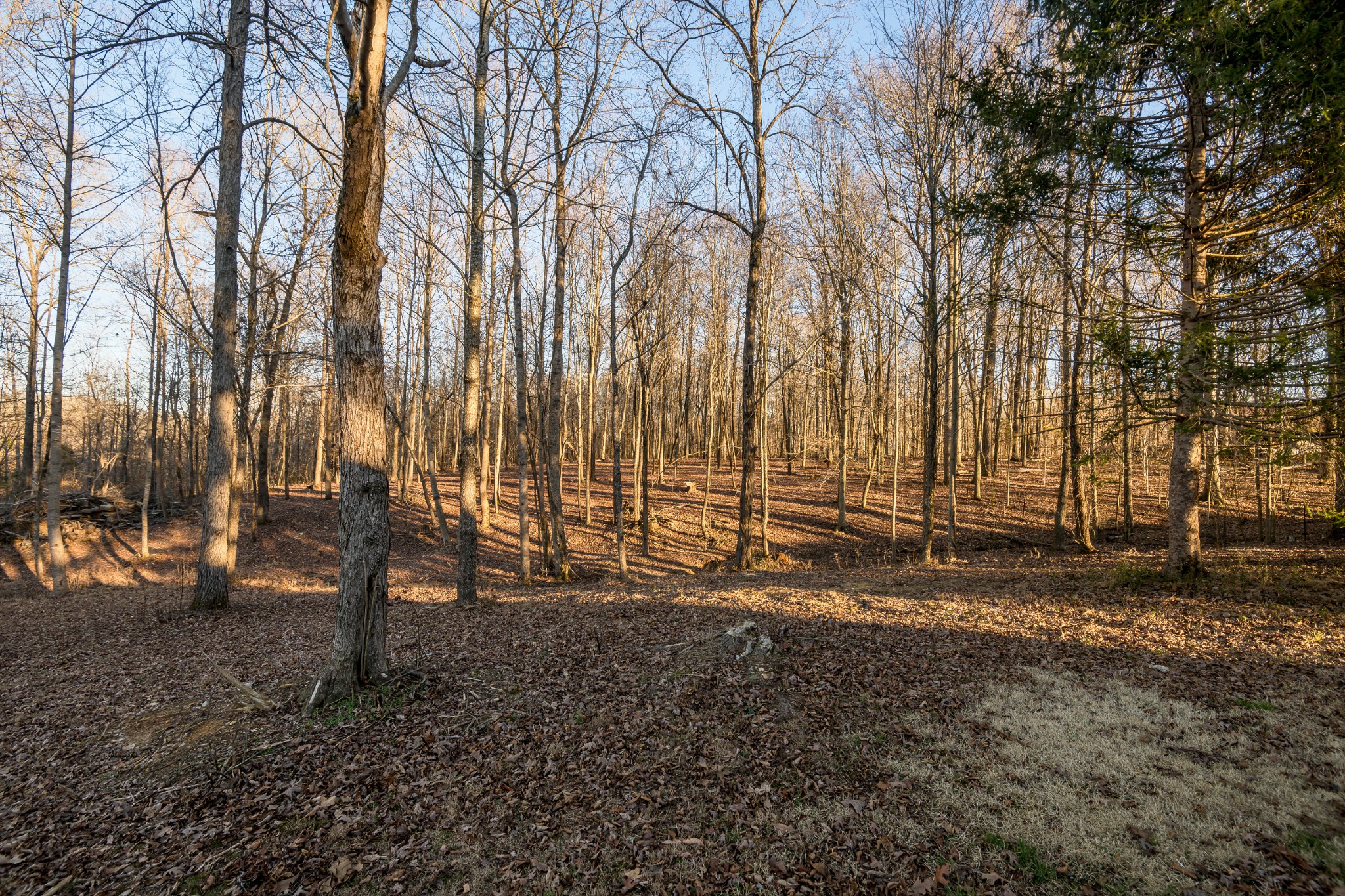 3992 Ridgeville Road Tullahoma, TN 37388 - Photo 54 of 59 Gallery Image 54