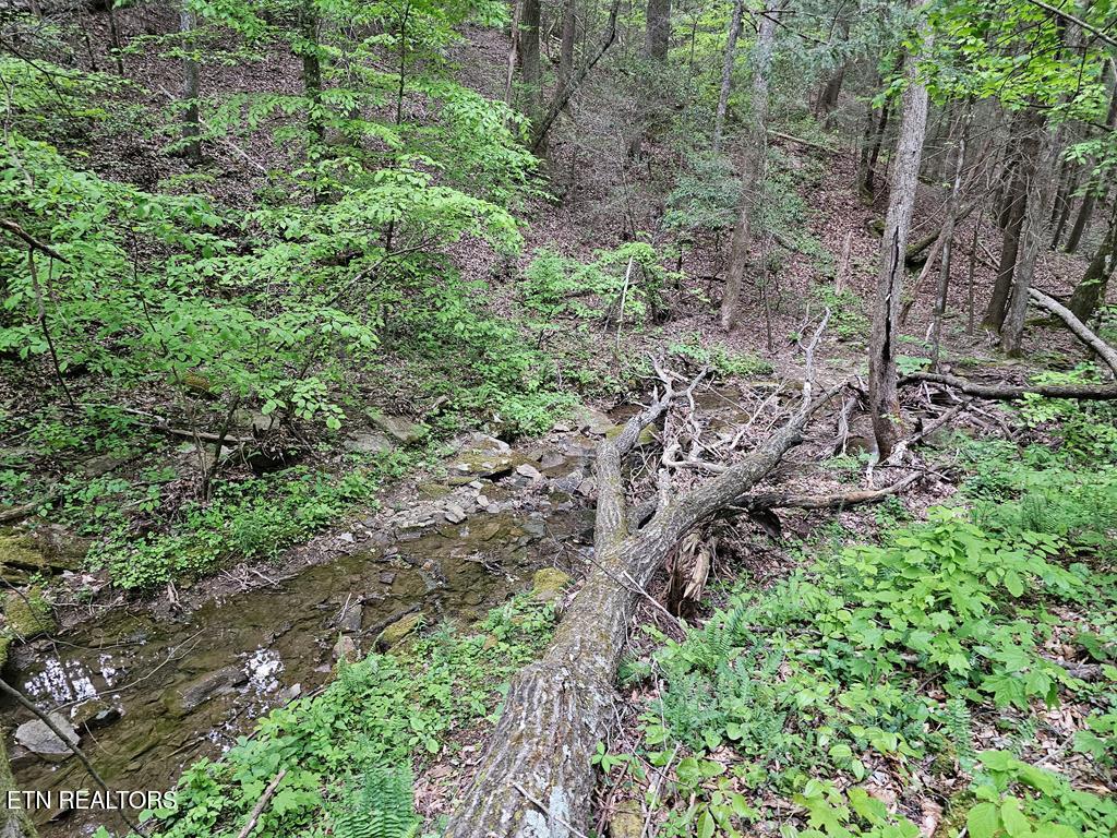 35309 Highland Rdg Trail Crawford, TN 38554 - Photo 12 of 16 218793_13