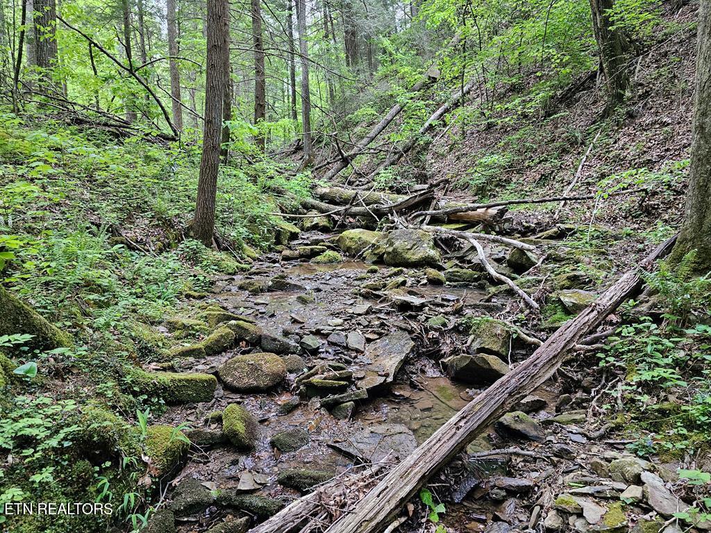 35309 Highland Rdg Trail Crawford, TN 38554 - Photo 13 of 16 218793_14