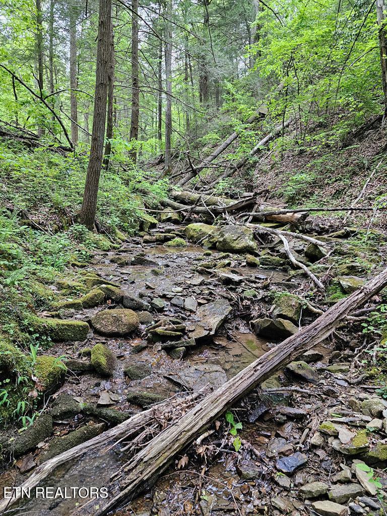 35309 Highland Rdg Trail Crawford, TN 38554 - Photo 14 of 16 218793_15