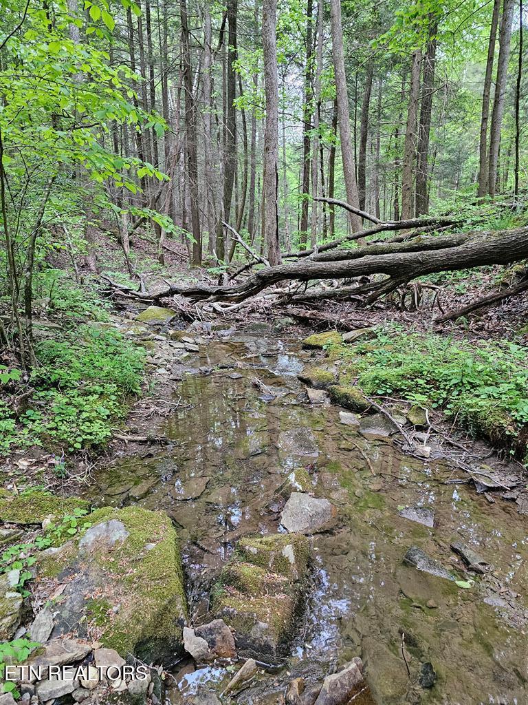 35309 Highland Rdg Trail Crawford, TN 38554 - Photo 15 of 16 218793_16