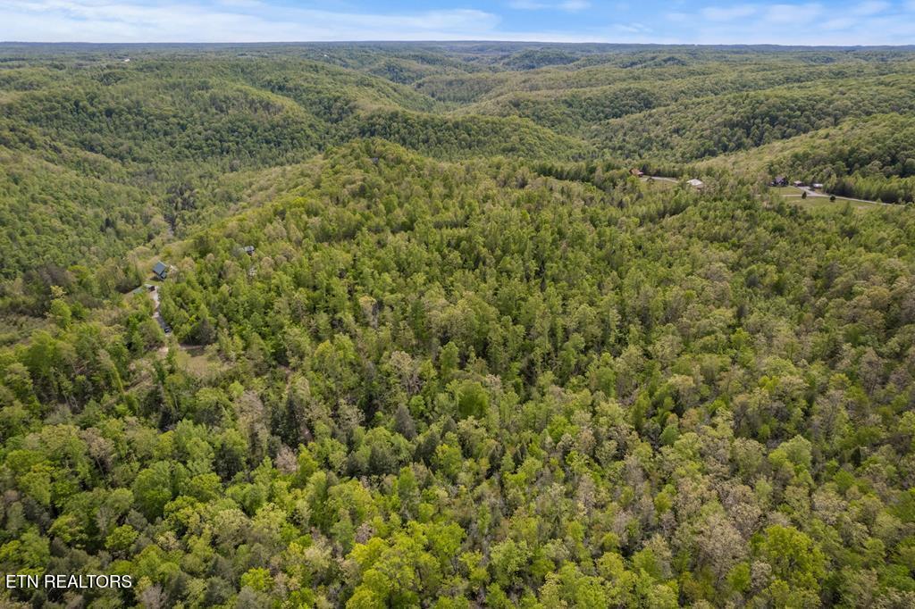 35309 Highland Rdg Trail Crawford, TN 38554 - Photo 3 of 16 218793_2