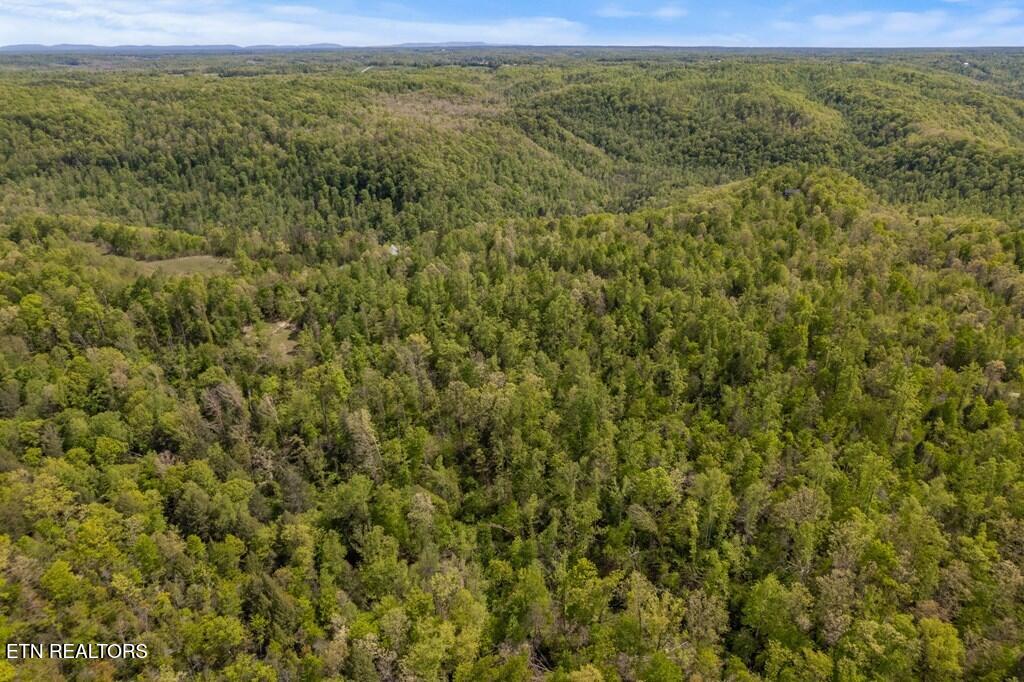 35309 Highland Rdg Trail Crawford, TN 38554 - Photo 6 of 16 218793_5